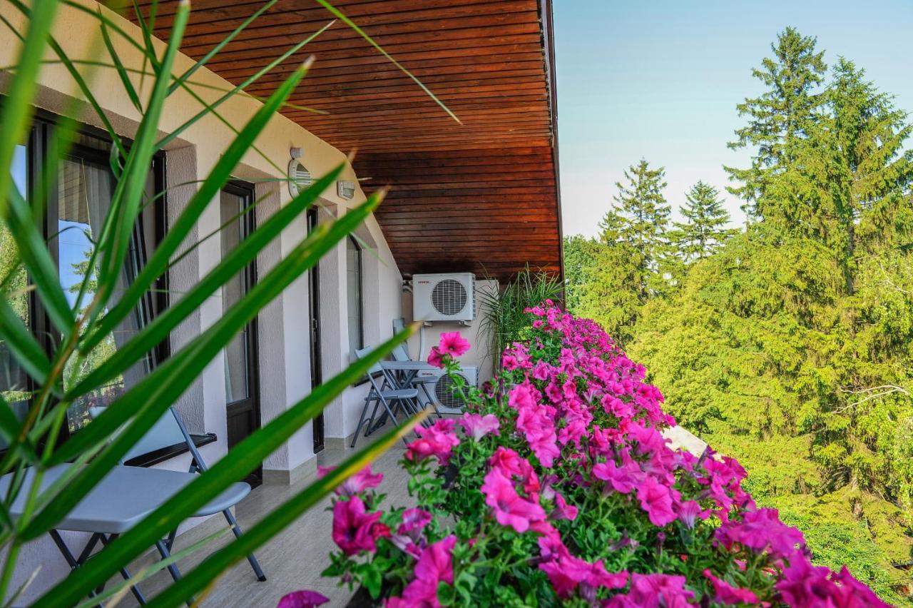 Villa Alice Suceava Exterior foto